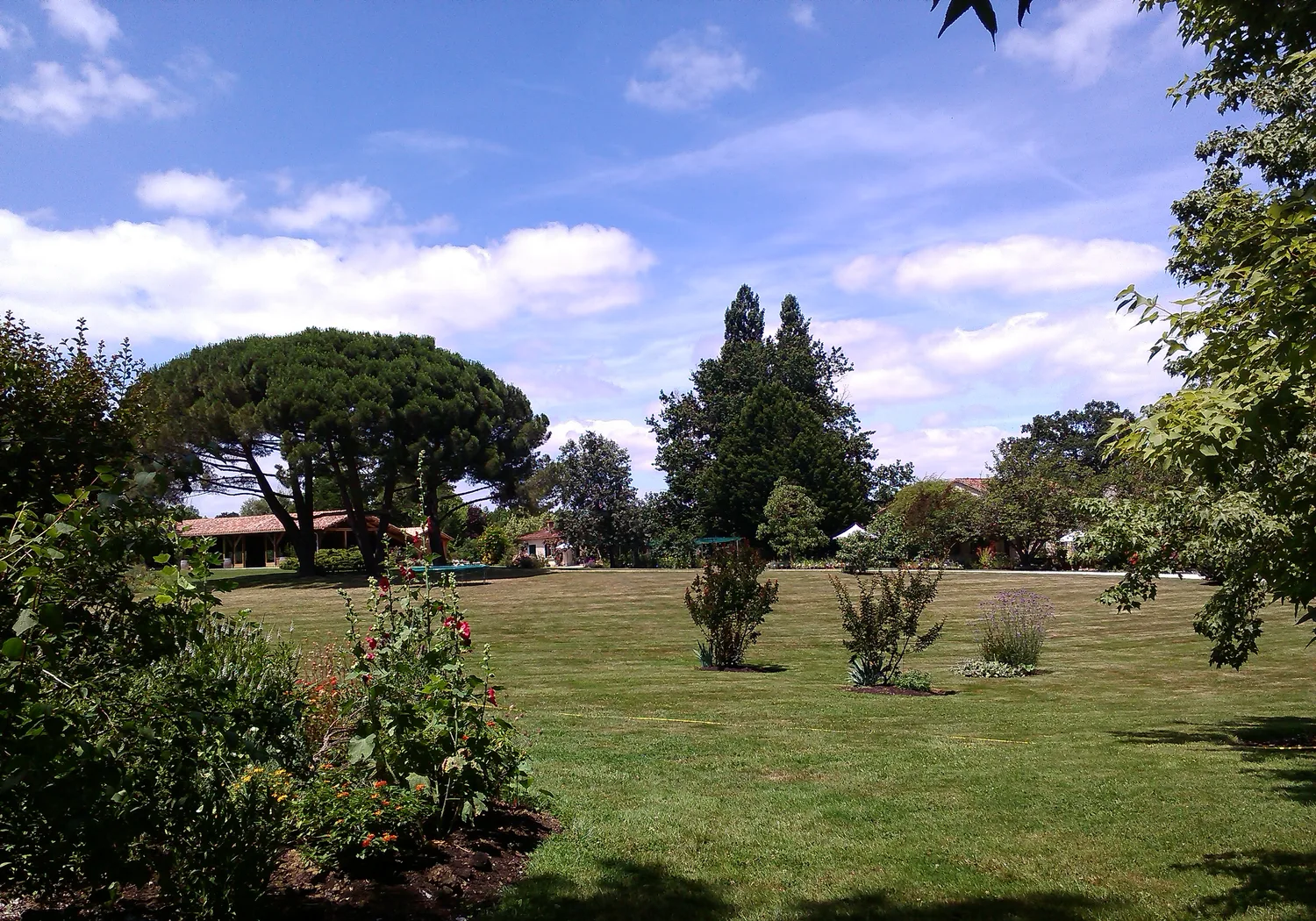 Allée végétale aux Jardins de Coursiana à La Romieu
