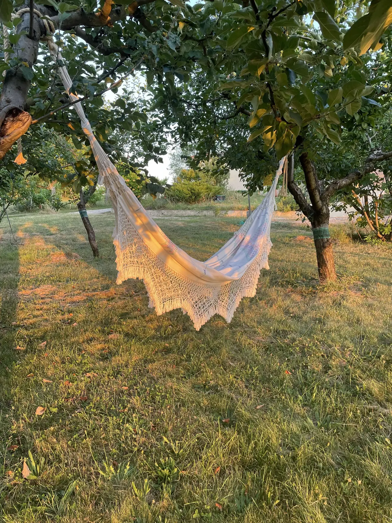 Hamac installé dans le jardin